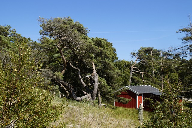 沙丘 沙丘景观 草 - 上的免费照片
