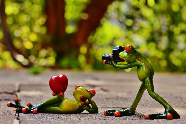 青蛙 爱 情人节 - 上的免费照片