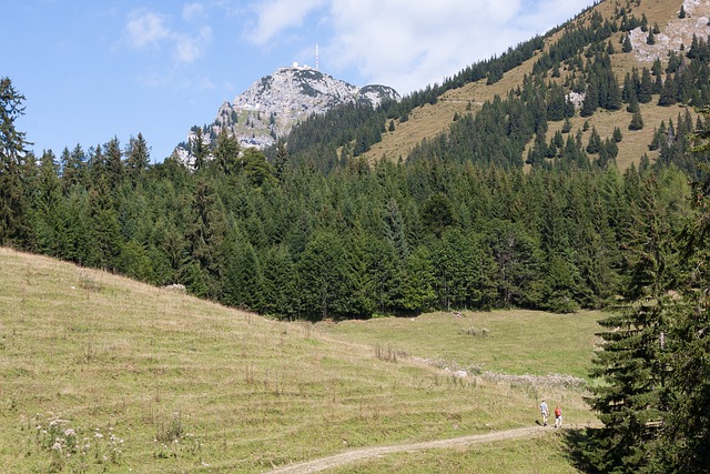 Wendelstein 传输桅杆 传输系统 - 上的免费照片