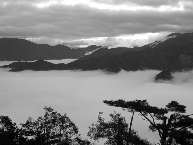 台湾 阿里山 - 上的免费照片