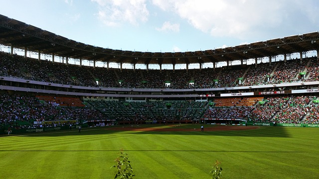 文学馆 棒球领域 棒球 - 上的免费照片