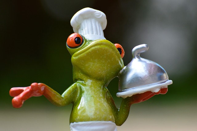 青蛙 厨师 一顿饭 - 上的免费照片