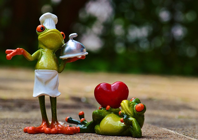 青蛙 厨师 爱 - 上的免费照片