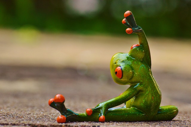 运动的 体操 青蛙 - 上的免费照片