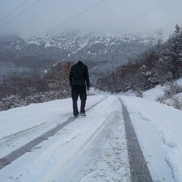 雪 冬天 刺骨的寒冷 - 上的免费照片
