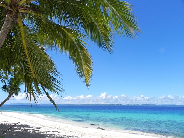 白沙滩 菲律宾 棉兰老岛 - 上的免费照片