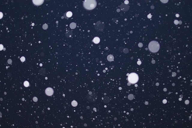 夜晚 雪 散景 - 上的免费照片
