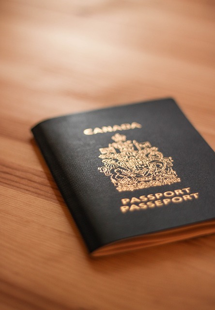 护照 加拿大 文档 - 上的免费照片