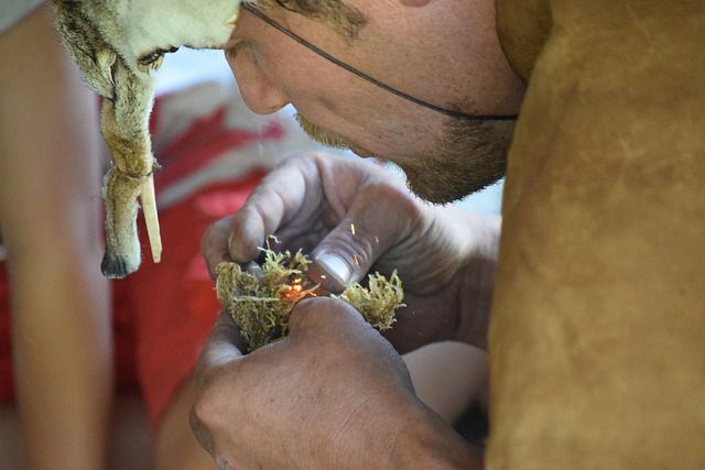 火 维京博物馆 维京人 - 上的免费照片