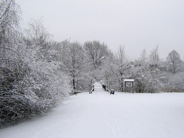 冬天 雪 寒冷的 - 上的免费照片