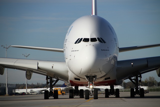空中客车公司 A380 阿联酋 - 上的免费照片