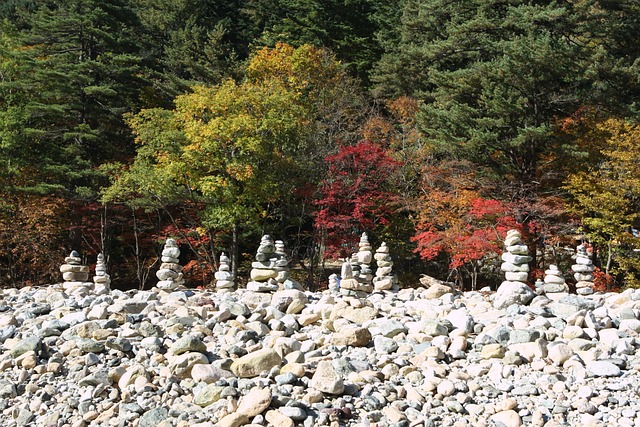 雪岳山 秋叶 秋天的树叶 - 上的免费照片