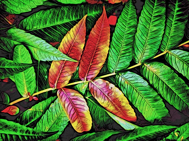 初秋 自然 树叶 - 上的免费图片