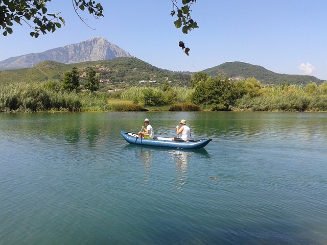 桨 独木舟 水 - 上的免费照片
