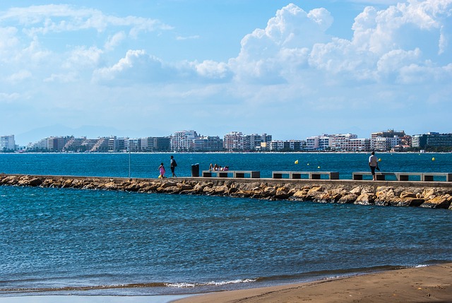 玫瑰 Girona 海滩 - 上的免费照片