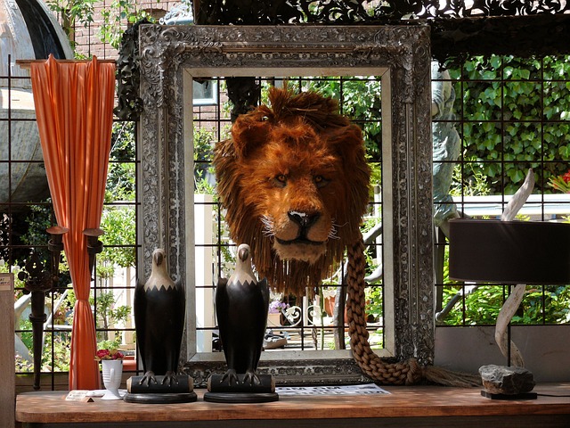 古董店 好奇心 跳蚤市场 - 上的免费照片