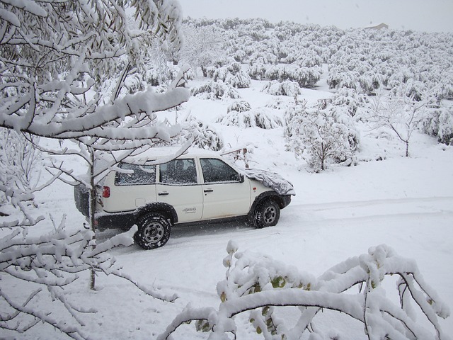 冬天 雪 自然 - 上的免费照片