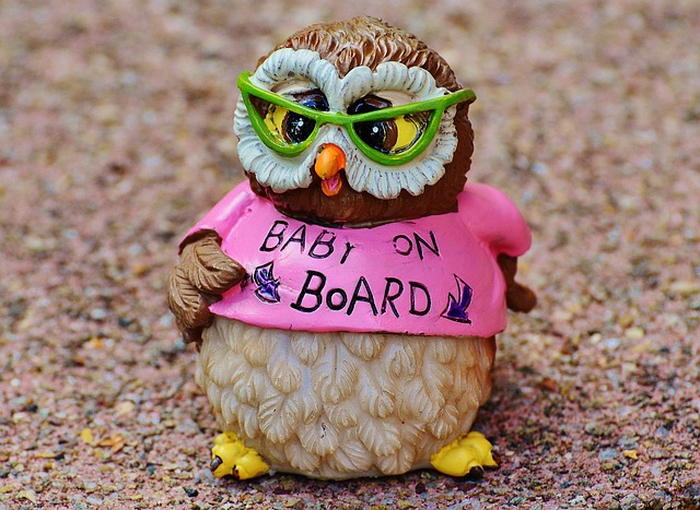 猫头鹰 婴儿 怀孕 - 上的免费照片