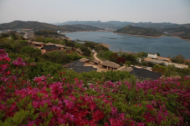 春天 家乡 朝鲜王朝 - 上的免费照片