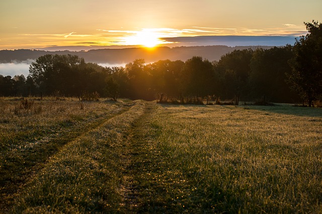 日出 多雾路段 云 - 上的免费照片