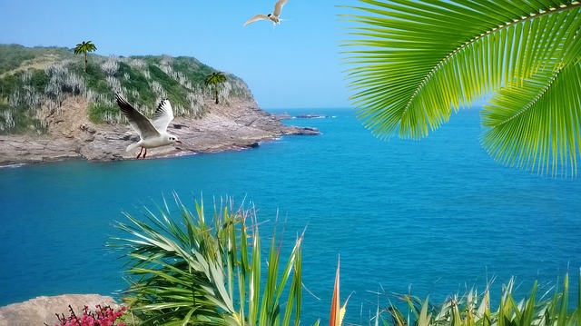 海岸 塞拉 Orla - 上的免费图片