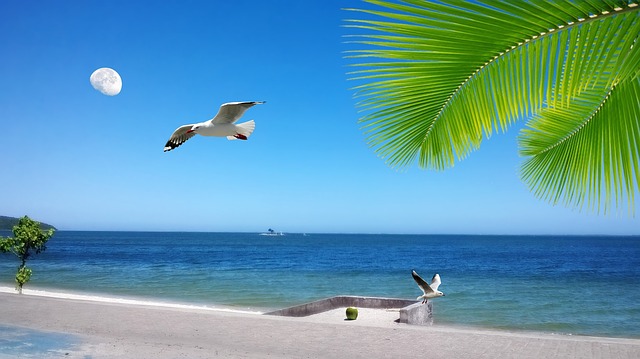 海岸 塞拉 Orla - 上的免费图片