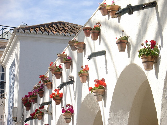 内尔哈 西班牙 鲜花 - 上的免费照片