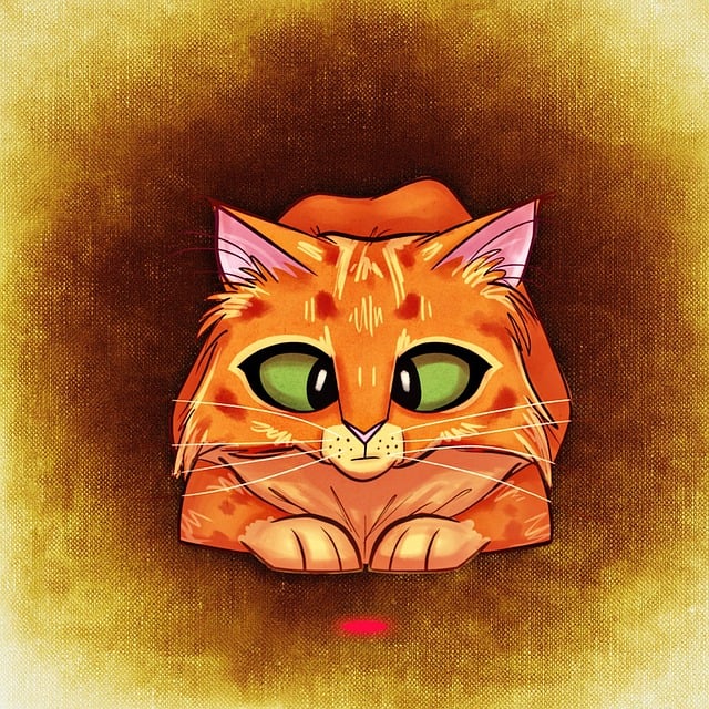 猫 乐趣 可爱的 - 上的免费图片