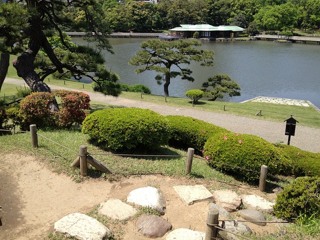 滨离宫 日本 花园 - 上的免费照片