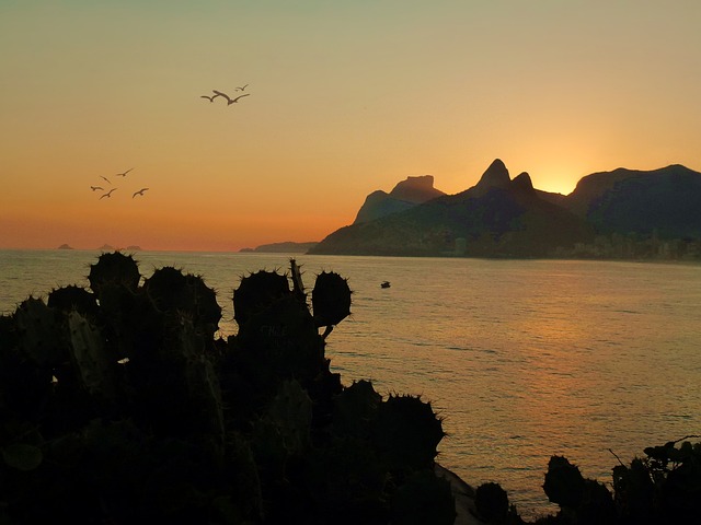 海 海洋 海滩 - 上的免费照片