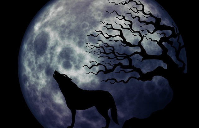 狼 嗥 月亮 - 上的免费图片
