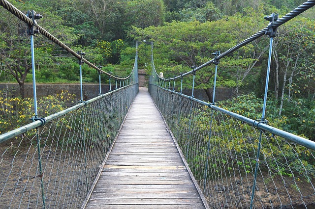 桥 悬空的木桥 木桥 - 上的免费照片