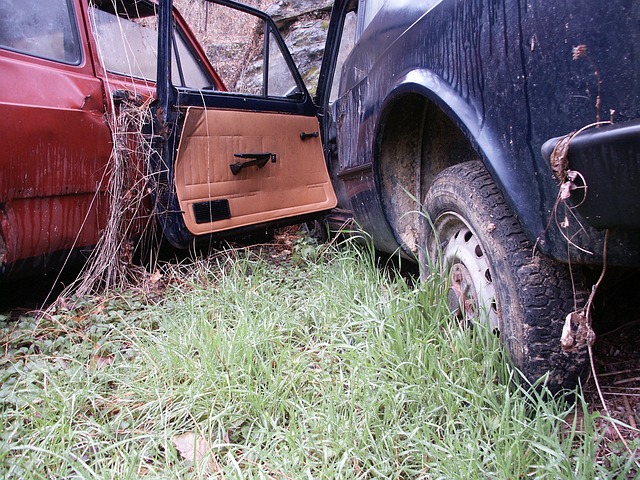 自动 恢复 放弃 - 上的免费照片