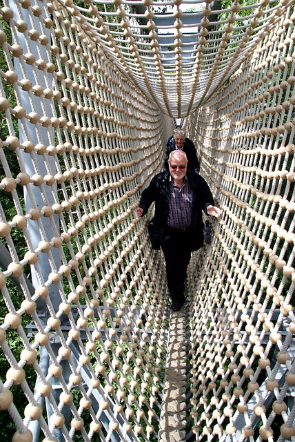 卷筒纸 小路 图林根 - 上的免费照片