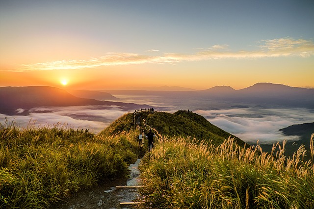 通路 山 草 - 上的免费照片