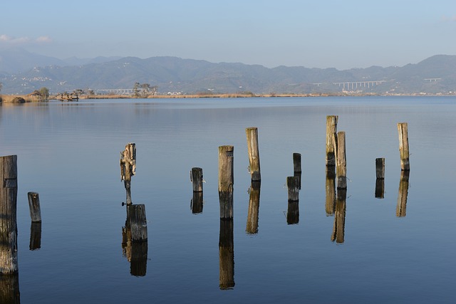 湖 维亚雷焦 意大利 - 上的免费照片