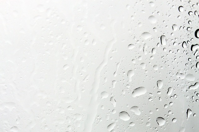 雨 光盘 窗户 - 上的免费照片