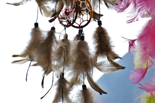 Dreamcatcher 梦幻滤镜 羽毛 - 上的免费照片
