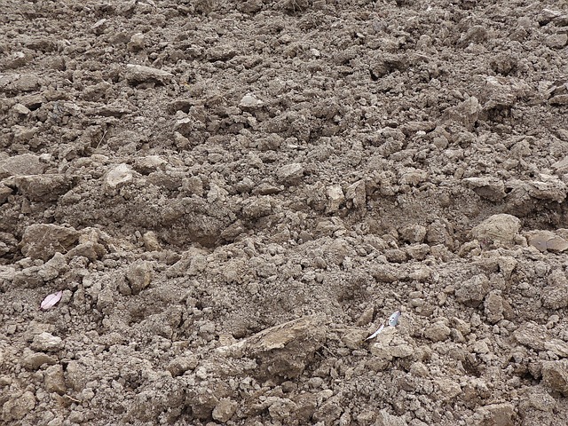 地球 Orka 犁沟 - 上的免费照片