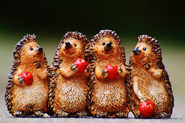 刺猬 人物 乐趣 - 上的免费照片