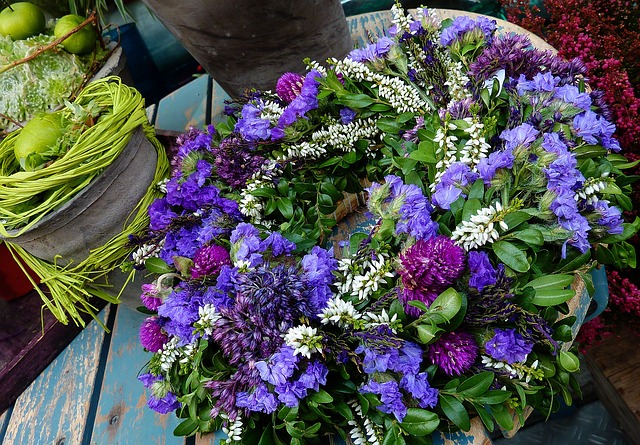Asters 阳台 蓝色的 - 上的免费照片