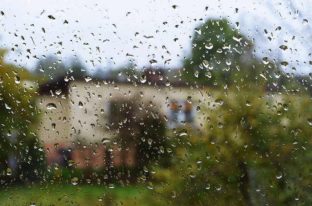 雨 滴 滴水滴 - 上的免费照片