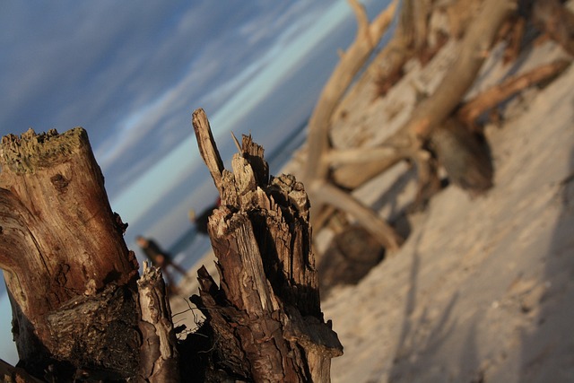 海滩 前夕 日落 - 上的免费照片