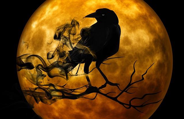 乌鸦 夜晚 可怕的 - 上的免费图片