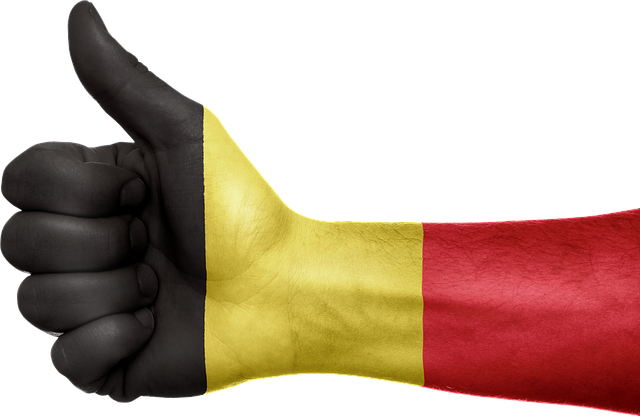 比利时 旗帜 手 - 上的免费图片