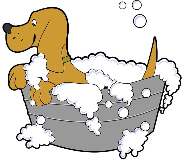 狗 浴 卡通片 - 上的免费图片