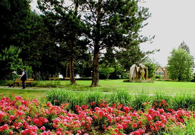花 草地 花园 - 上的免费照片