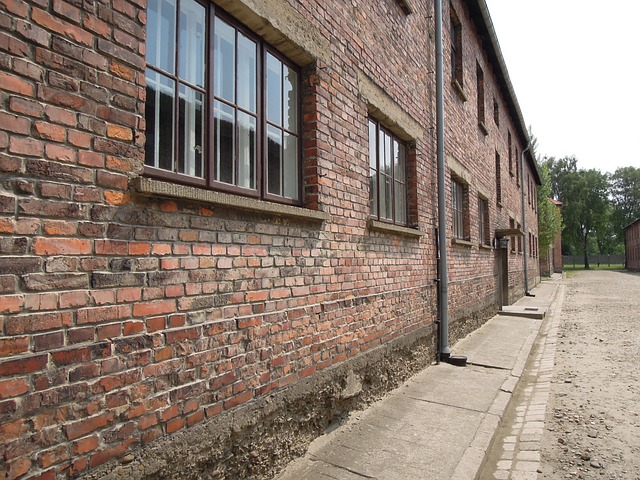 屠杀 奥斯维辛 比克瑙 - 上的免费照片
