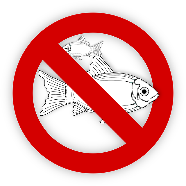 鱼 过敏 食物 - 免费矢量图形