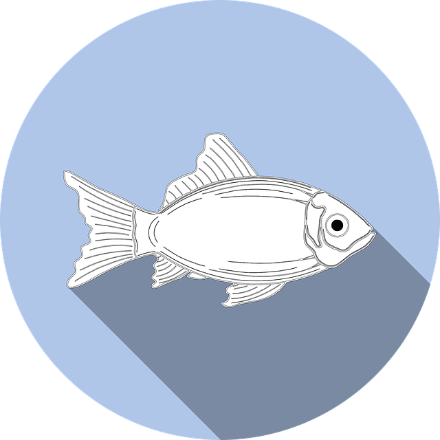 鱼 过敏 食物 - 免费矢量图形